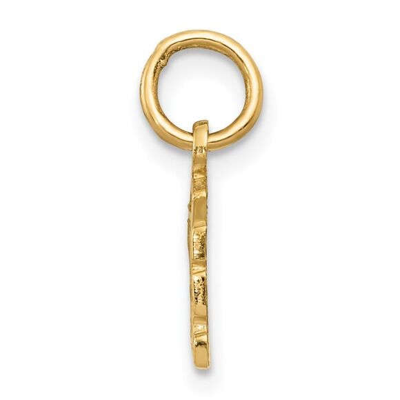 14k Yellow Gold Swiss Cheese Charm or Pendant, 14mm (9/16 inch) - Picture 2 of 5